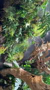 dante_yangpa Altpins Profile Picture
