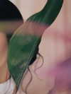 tgiangya Altpins Profile Picture