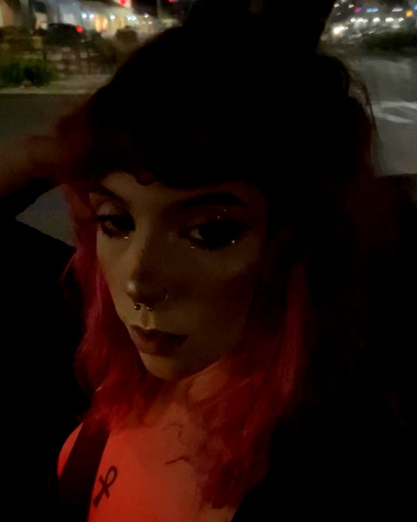 haileylayfield instagram image archive image