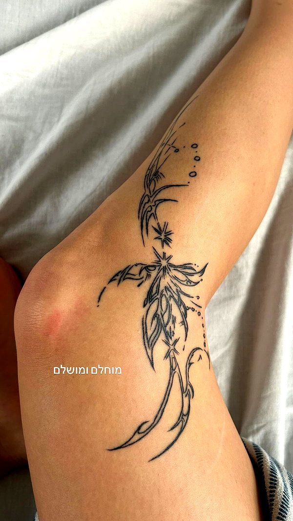 tal.naveh instagram image archive image