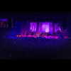 xtina Altpins Profile Picture