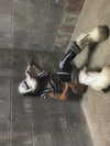 zommmbri Altpins Profile Picture