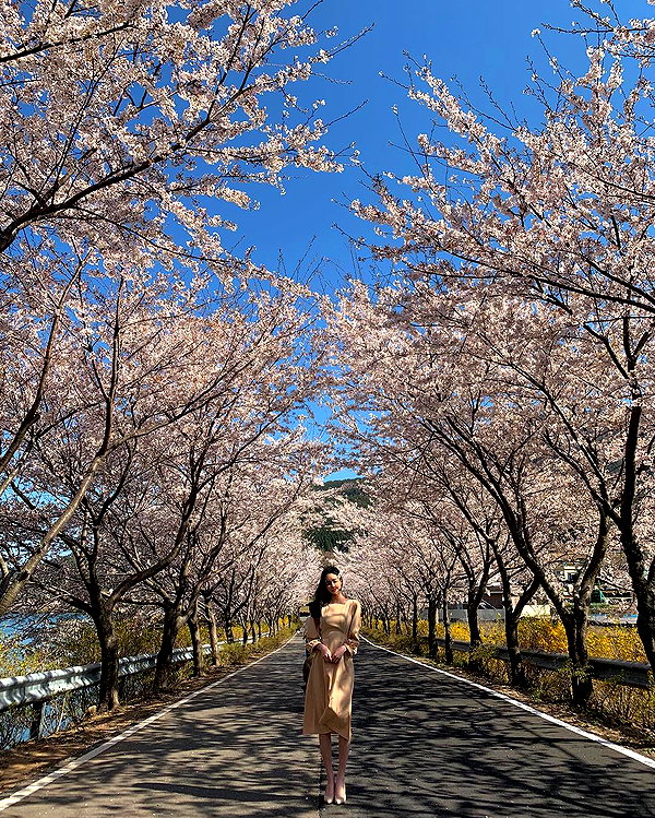 daxbin instagram image archive image