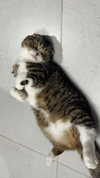 sonia_litvanchuk Altpins Profile Picture
