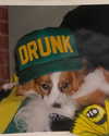 xtina Altpins Profile Picture