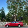 gabydayan Altpins Profile Picture