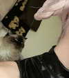 danielle.mercedie Altpins Profile Picture