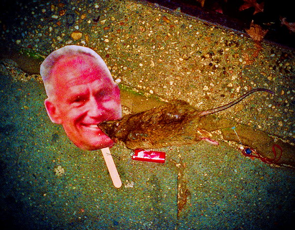 bugz4brainz instagram image archive image