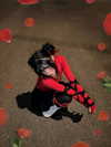 ki.re.ina Altpins Profile Picture