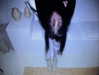 carmexan Altpins Profile Picture