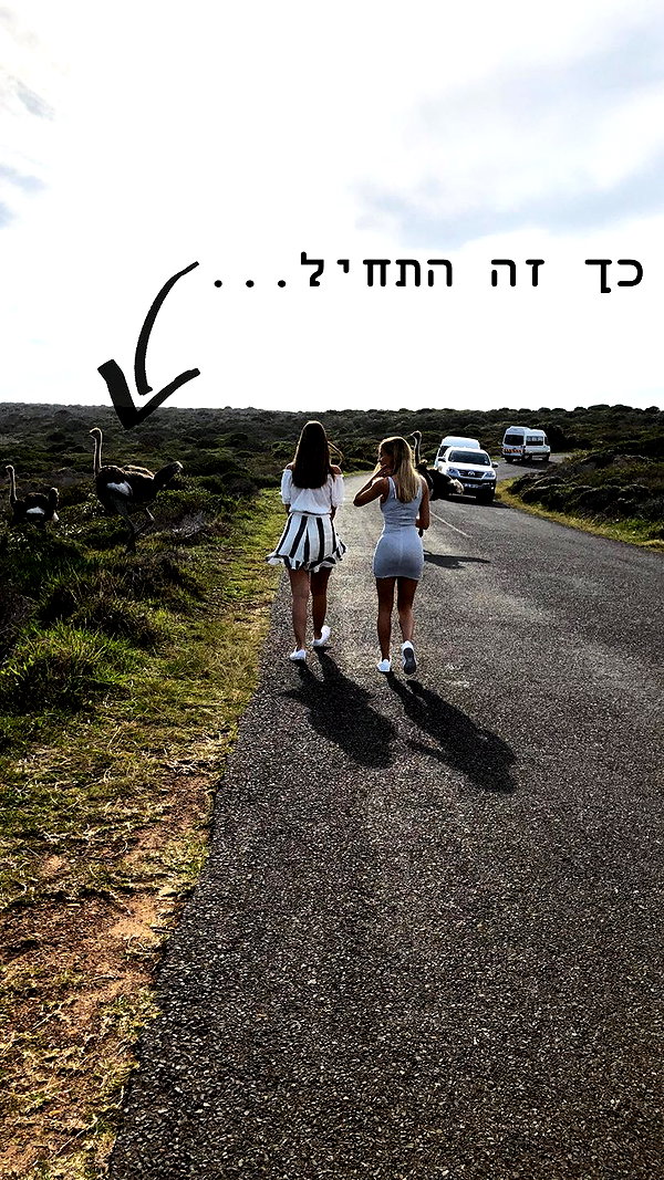 barzomer instagram image archive image