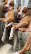 _mashachka_ Altpins Profile Picture