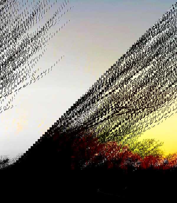 taylor.creeden taylor.creeden archive image