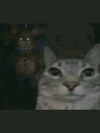 ellaexplicit_ Altpins Profile Picture