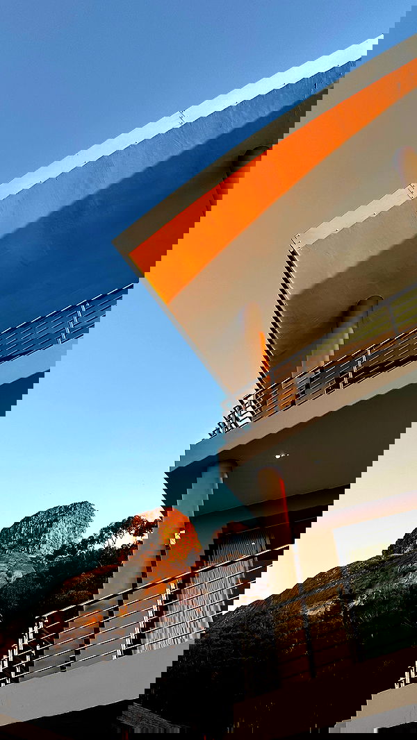 taylor.creeden taylor.creeden archive image