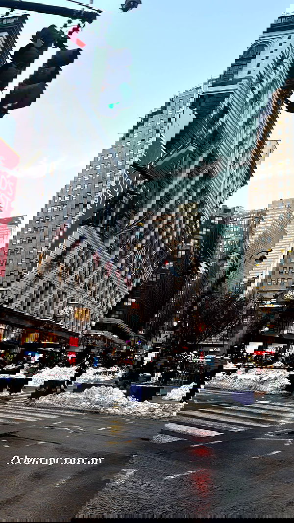 biton__adi biton__adi archive image