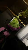 amatveyko Altpins Profile Picture