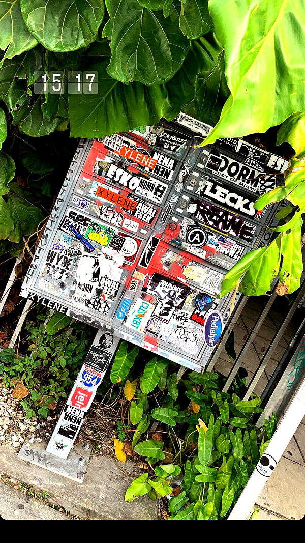 barzomer instagram image archive image