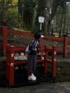 vollkova__ Altpins Profile Picture