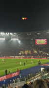 elsgatti Altpins Profile Picture