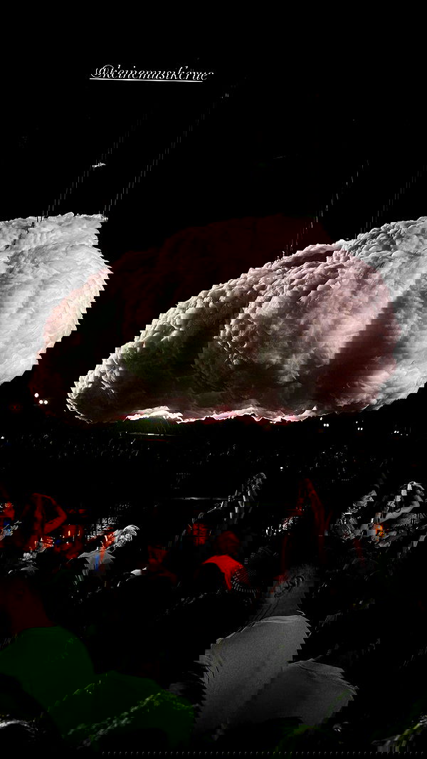 taylor.creeden taylor.creeden archive image