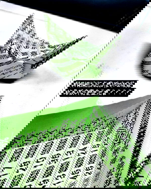 ting851204 ting851204 archive image