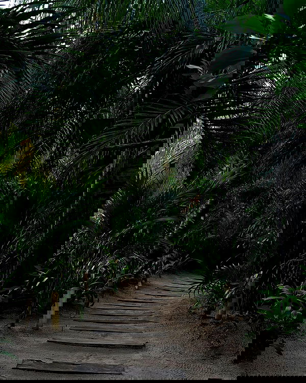 manjolamuriqi manjolamuriqi archive image