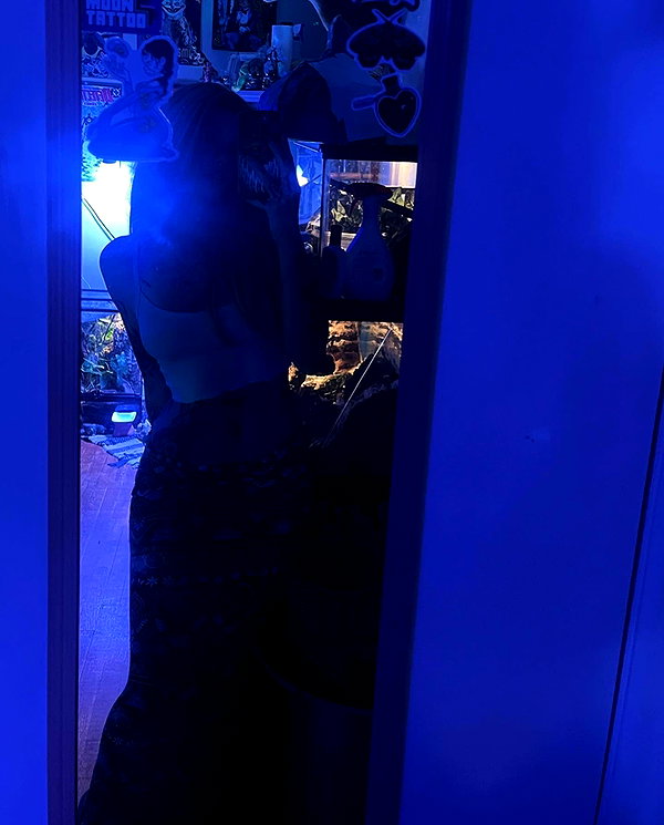 arachn1.ba3 instagram image archive image