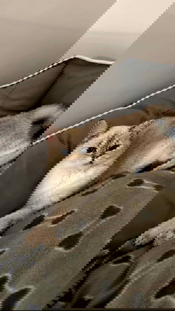 danaikontodiou danaikontodiou archive image