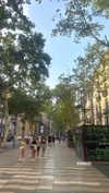 federica.piccinni Altpins Profile Picture