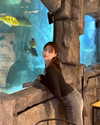 auddk_77 Altpins Profile Picture