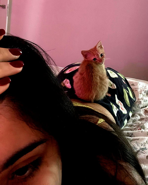 owlydiaa instagram image archive image