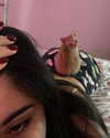owlydiaa Altpins Profile Picture