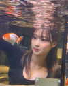 auddk_77 Altpins Profile Picture