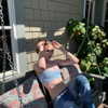 alexconsani Altpins Profile Picture