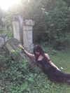 my__829 Altpins Profile Picture