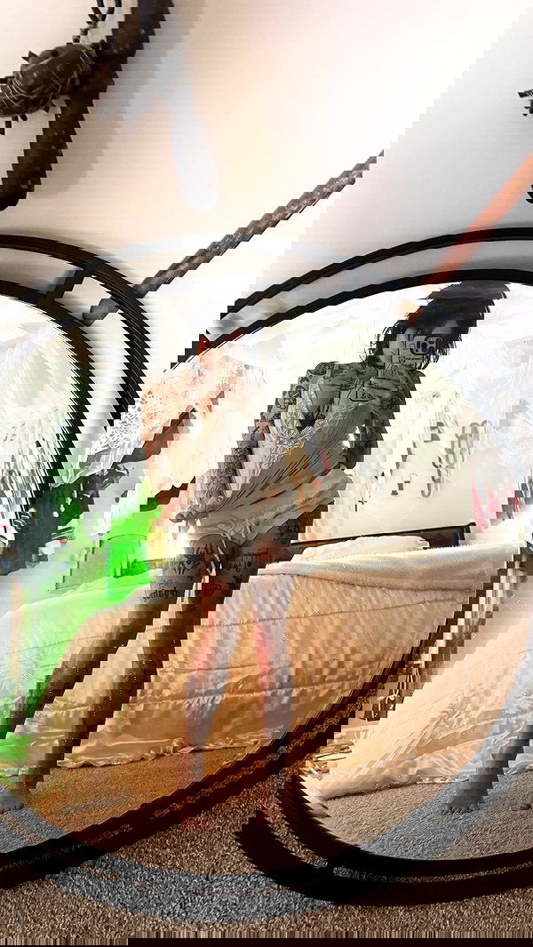 zommmbri zommmbri archive image