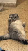 eva.6stuma.com6 Altpins Profile Picture