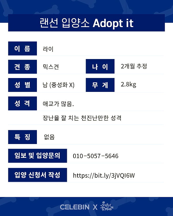 daxbin instagram image archive image