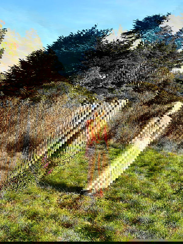 carolinezalog carolinezalog archive image