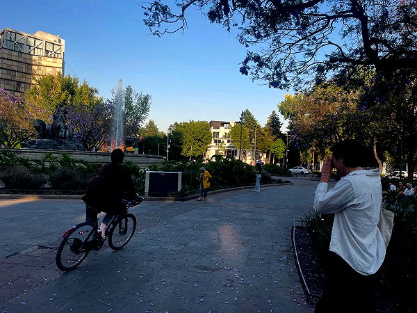 sydneygottlieb instagram image archive image