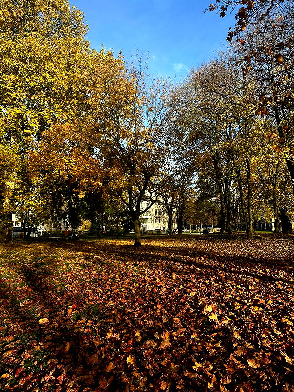 mishel116 instagram image archive image