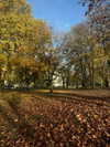 mishel116 Altpins Profile Picture