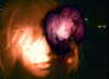 bugz4brainz Altpins Profile Picture