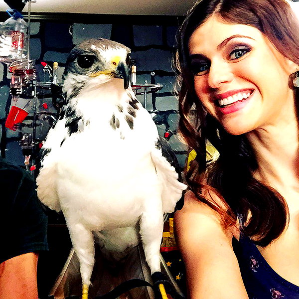 alexandradaddario instagram image archive image