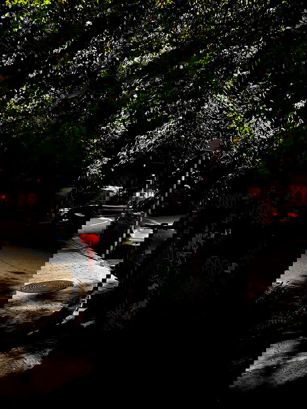 mosssaico mosssaico archive image