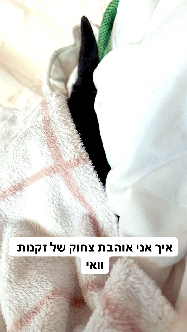 liliashaked instagram image archive image