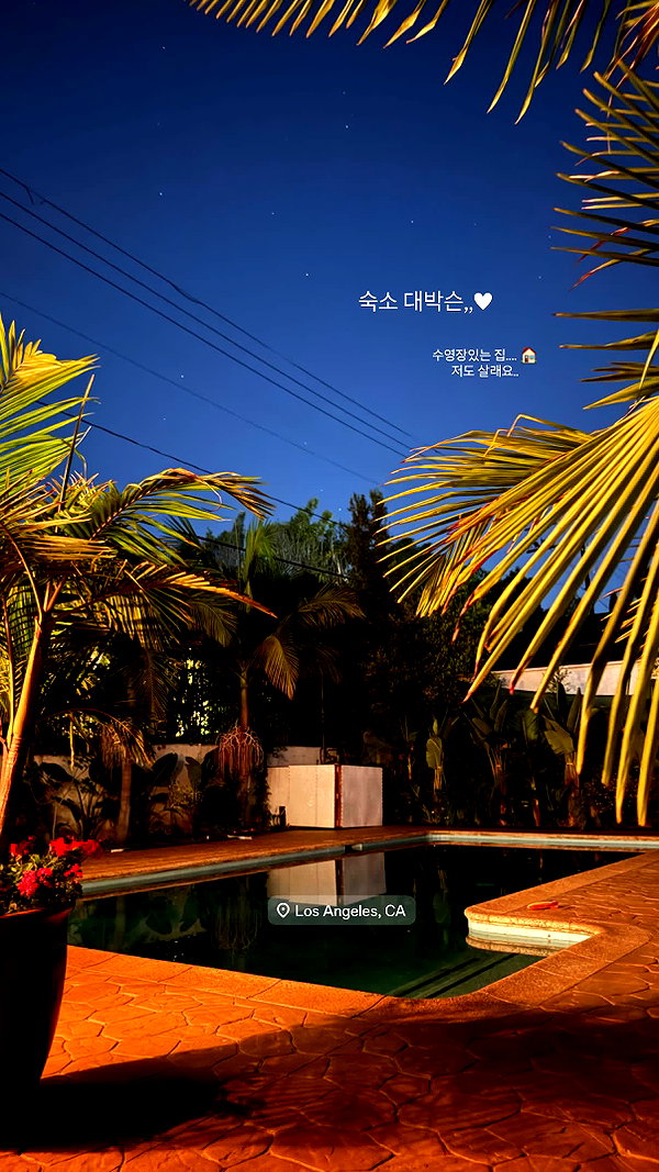 daxbin instagram image archive image