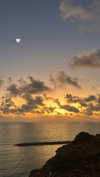 sonia_litvanchuk Altpins Profile Picture