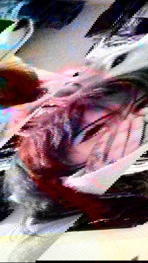 zommmbri zommmbri archive image